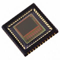 ON Semiconductor 图像传感器 IC IMAGE SENSOR 1.3MP 48LLC