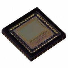ON Semiconductor 图像传感器 IC IMAGE SENSOR LUPA300 48LLC