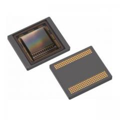 ON Semiconductor 图像传感器 IC IMAGE SENSOR LUPA1300 168PGA