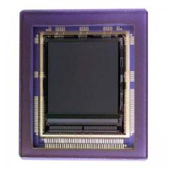 ON Semiconductor 图像传感器 IC IMAGE SENSOR 3MP 369-PGA