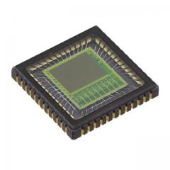 ON Semiconductor 图像传感器 IC IMAGE SENSOR 1.3MP 48LCC