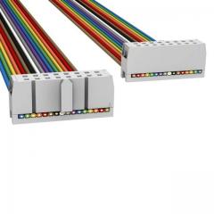 ASSMANN 电缆组件 矩形电缆组件 IDC CBL - HHKC16H/AE16M/HHKC16H