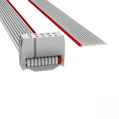 ASSMANN 电缆组件 矩形电缆组件 IDC CBL - HHSR10H/AE10G/X