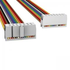 ASSMANN 电缆组件 矩形电缆组件 IDC CBL - HHKC14S/AE14M/HHKC14S