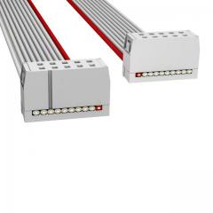 ASSMANN 电缆组件 矩形电缆组件 IDC CBL - HHSC10S/AE10G/HHSC10S
