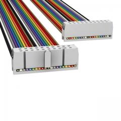 ASSMANN 电缆组件 矩形电缆组件 IDC CBL - HHKC20S/AE20M/HHKC20S