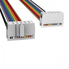 ASSMANN 电缆组件 矩形电缆组件 IDC CBL - HHKC10H/AE10M/HHKC10H