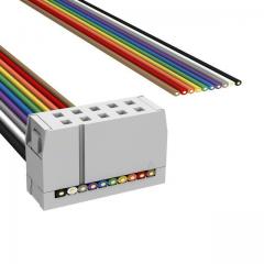 ASSMANN 电缆组件 矩形电缆组件 IDC CBL - HHSC10S/AE10M/X