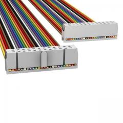 ASSMANN 电缆组件 矩形电缆组件 IDC CBL - HHKC24H/AE24M/HHKC24H