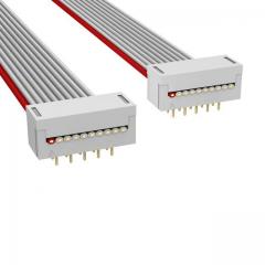 ASSMANN 电缆组件 矩形电缆组件 DIP CABLE - HDM10H/AE10G/HDM10H