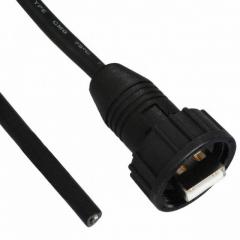 CONN USB TYPE A MALE W/1M ASSMANN 电缆组件 USB电缆 CABLE