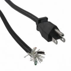 ASSMANN 电缆组件 电源，线缆 CORD SVT 18AWG 3COND SHIELD 1M