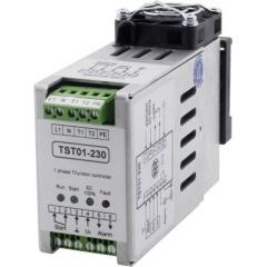 ABB 保险丝 3ADT730004R0004, 使用于DCT880 闸流晶体管电源控制器