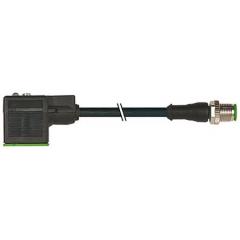 Murrelektronik Limited 40881 系列 7000-40881-6360100 IP66K，IP67 形式 A 阀插头 插头 至 M12 插头 3 芯 电缆组件, 4(每触点)A 24 V 交流/直流 0.75 mm²