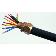 Kopex 黄铜 电缆导管配件 BGM0606-RS, 32mm 标称尺寸, M32螺纹, IP66，IP67