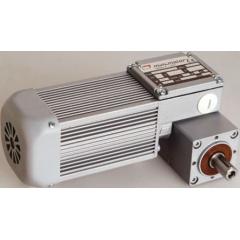 Mini Motor 20 W 56 rpm 三相 电磁感应 齿轮传动电动机 BCE2000/T 50 B3, 260 mA