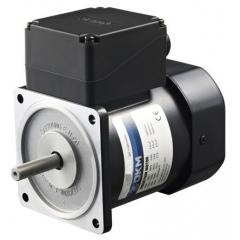 DKM 电磁感应 可逆向 交流电动机 9IDGE-90FP-T, 1 相, 90 W, 0.86 Nm, 220 V，240 V